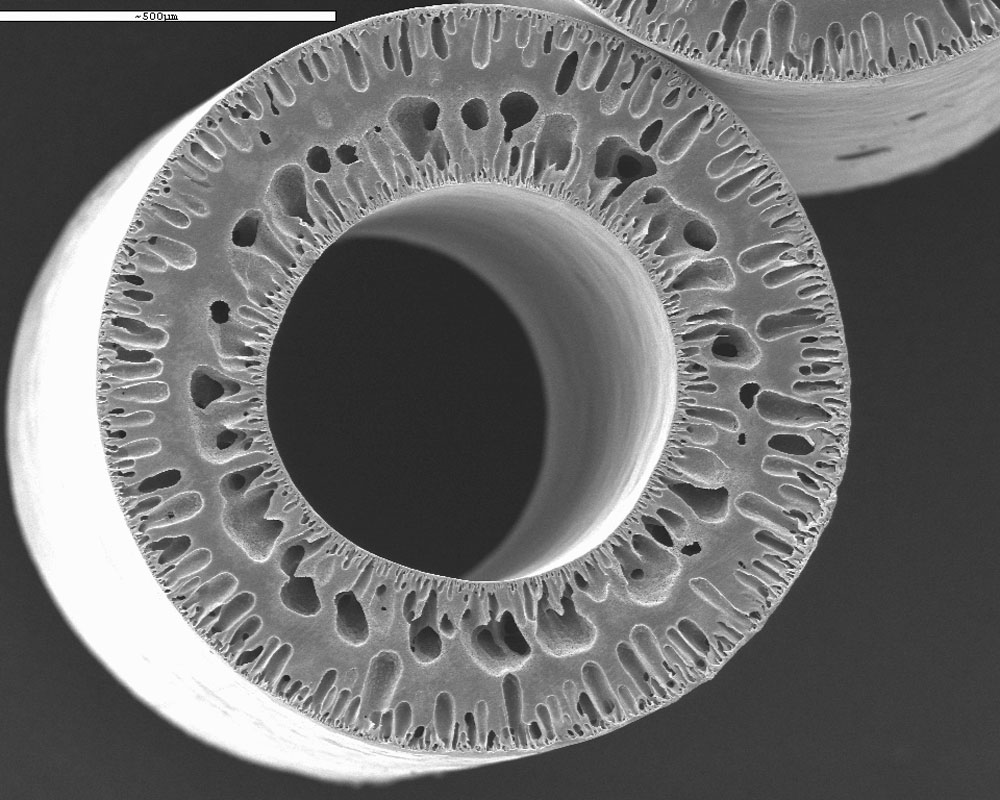 Scanning microscope images